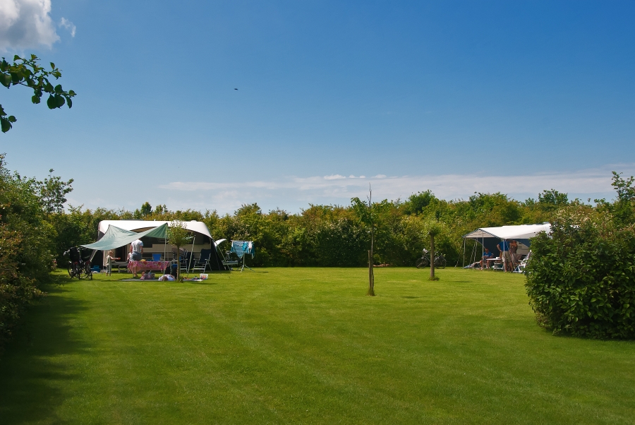 Spacious pitches campsite The Netherlands Zeeland